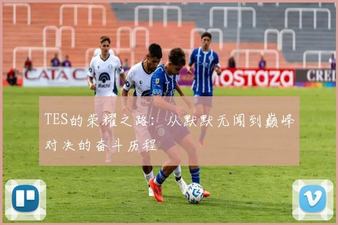 TES的荣耀之路：从默默无闻到巅峰对决的奋斗历程