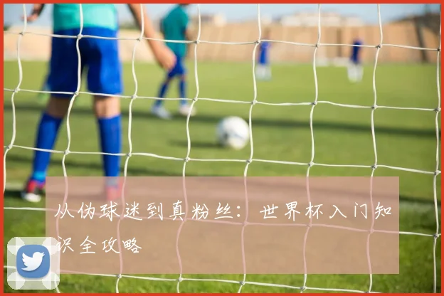 从伪球迷到真粉丝：世界杯入门知识全攻略