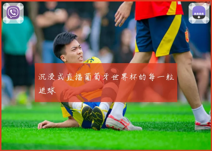 沉浸式直播葡萄牙世界杯的每一粒进球