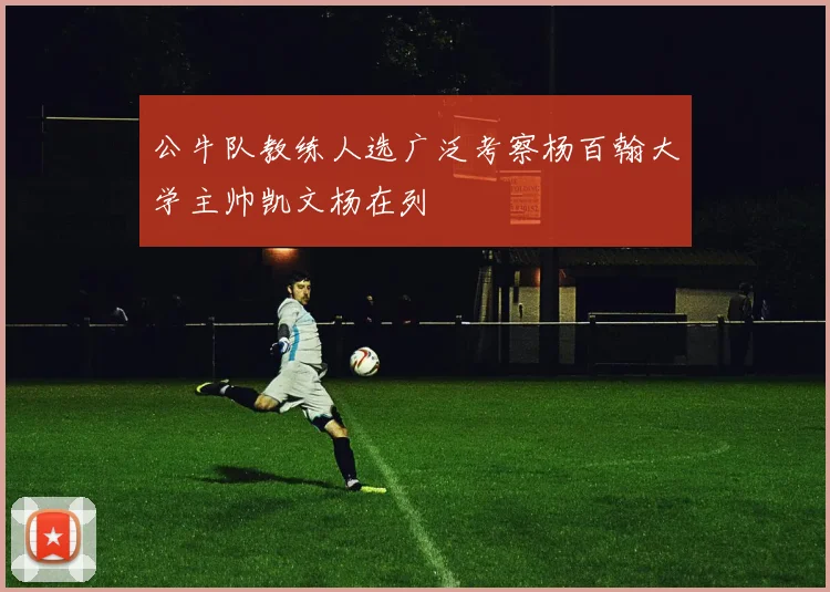 公牛队教练人选广泛考察杨百翰大学主帅凯文杨在列