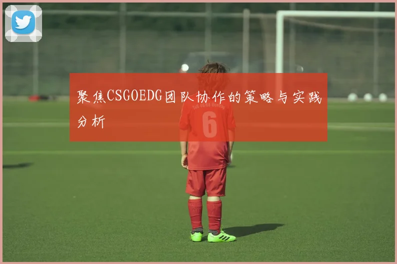 聚焦CSGOEDG团队协作的策略与实践分析